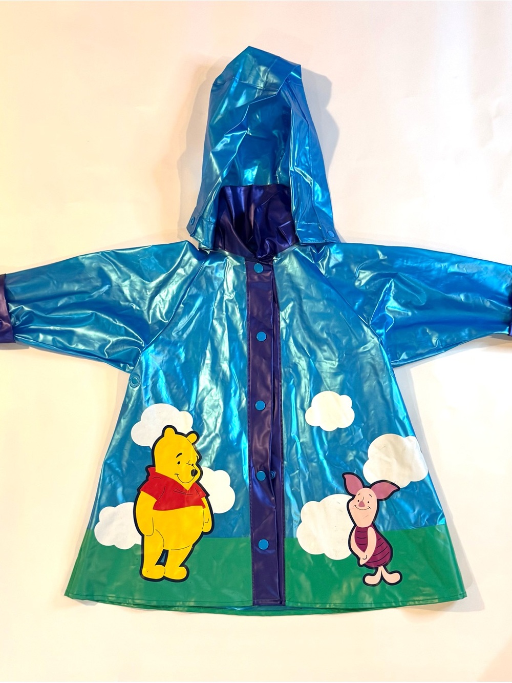 Disney Blue Winnie the Pooh & Piglet Hooded Raincoat with Green Panel